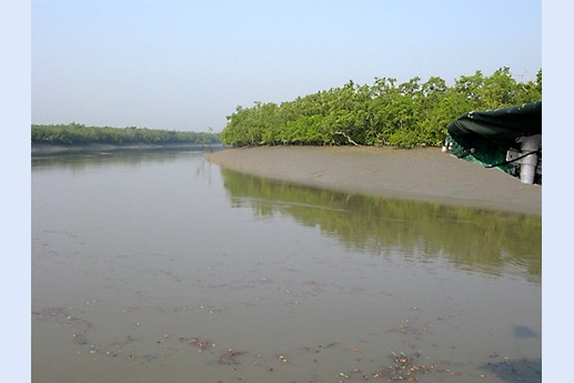 Viaggio in India 2008 - Sunderbans